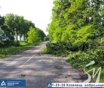 �� ����� �-25-28 ��������-��������� ��������� �������� 14 ��������� ����⳺� �����